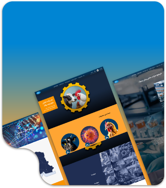  نمونه کار طراحی سایت 